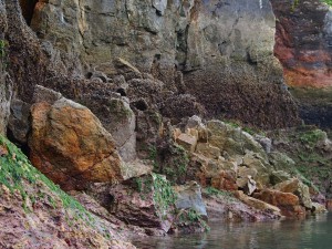 Sea kayaking and checking out the vertical tide pools around Puffin Island in Sandy Cove 2 (1)   